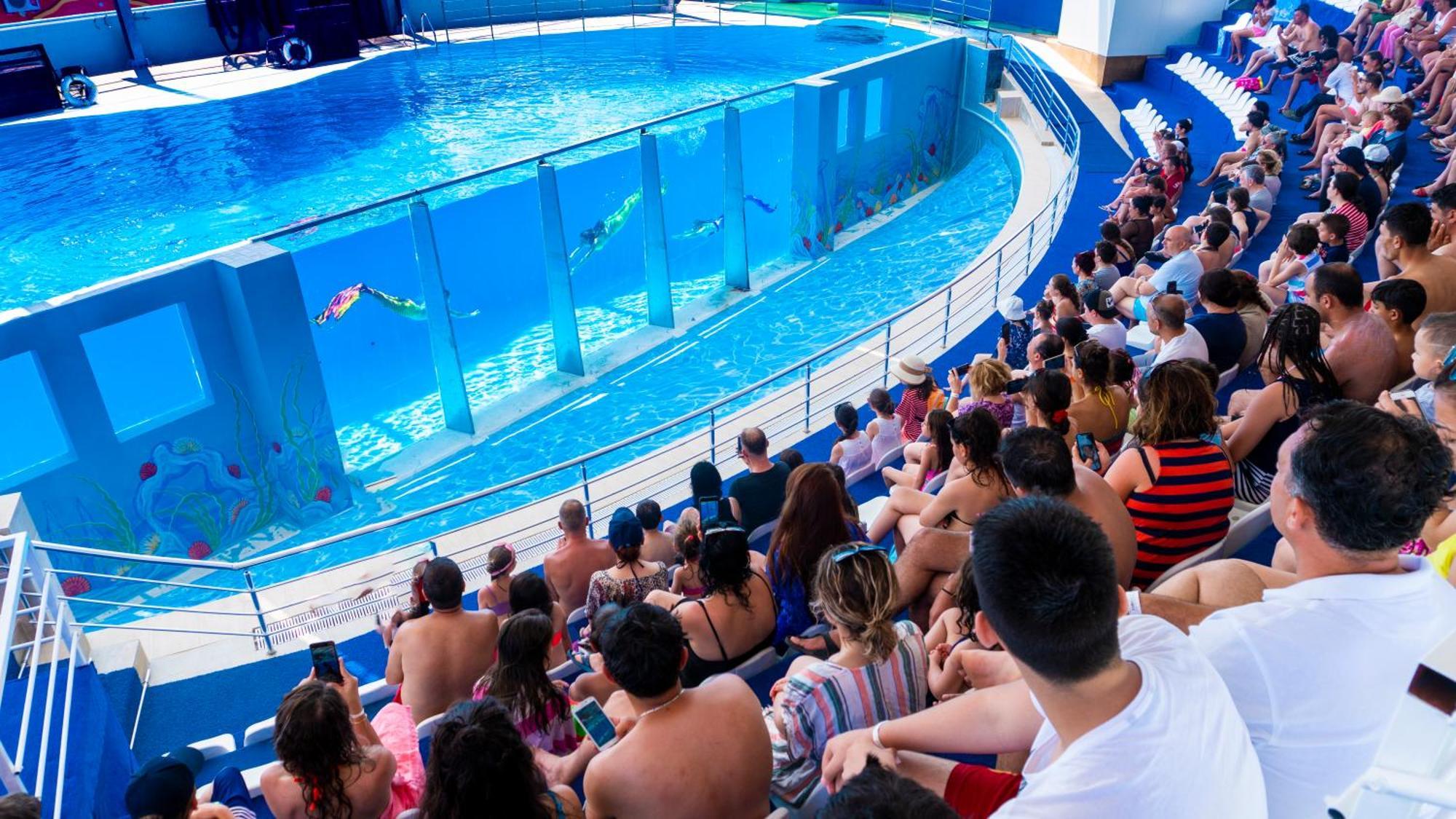 Daima Biz Hotel - Dolusu Aquapark Access Kemer Exterior foto